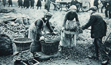 Mujeres trabajadoras de guerra en la tierra, ilustración de The Illustrated War News, 7 de marzo de 1917